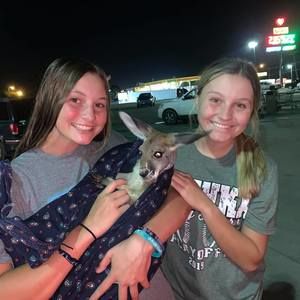 Meet your Posher, Jaden